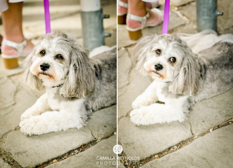 Manor house hotel wedding Cotswolds Batsford (29)
