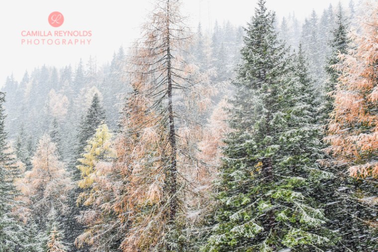 Bernina Italy Alps St Moritz Camilla Reynolds (19)