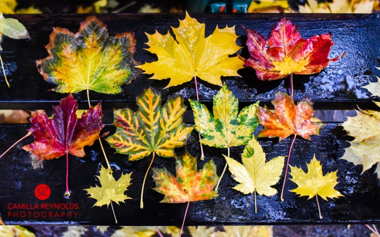 Bernina Italy Alps St Moritz Camilla Reynolds (4)