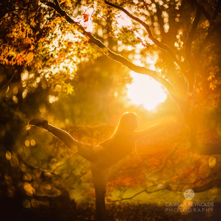 Autumn arabesque fine art sunset tree photography Cotsworlds