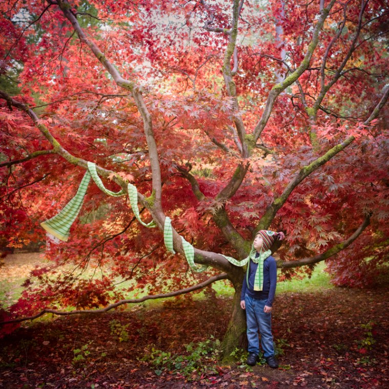 fine art children photography autumn boy scarf Cotswolds