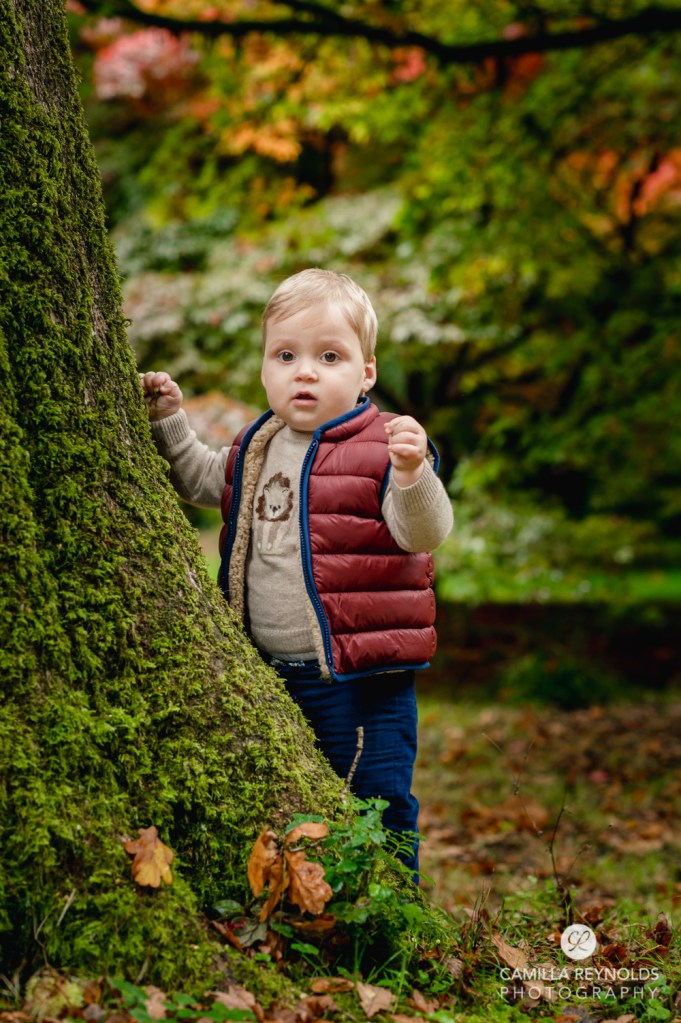 boy tree natural kids family photo shoot cotswolds
