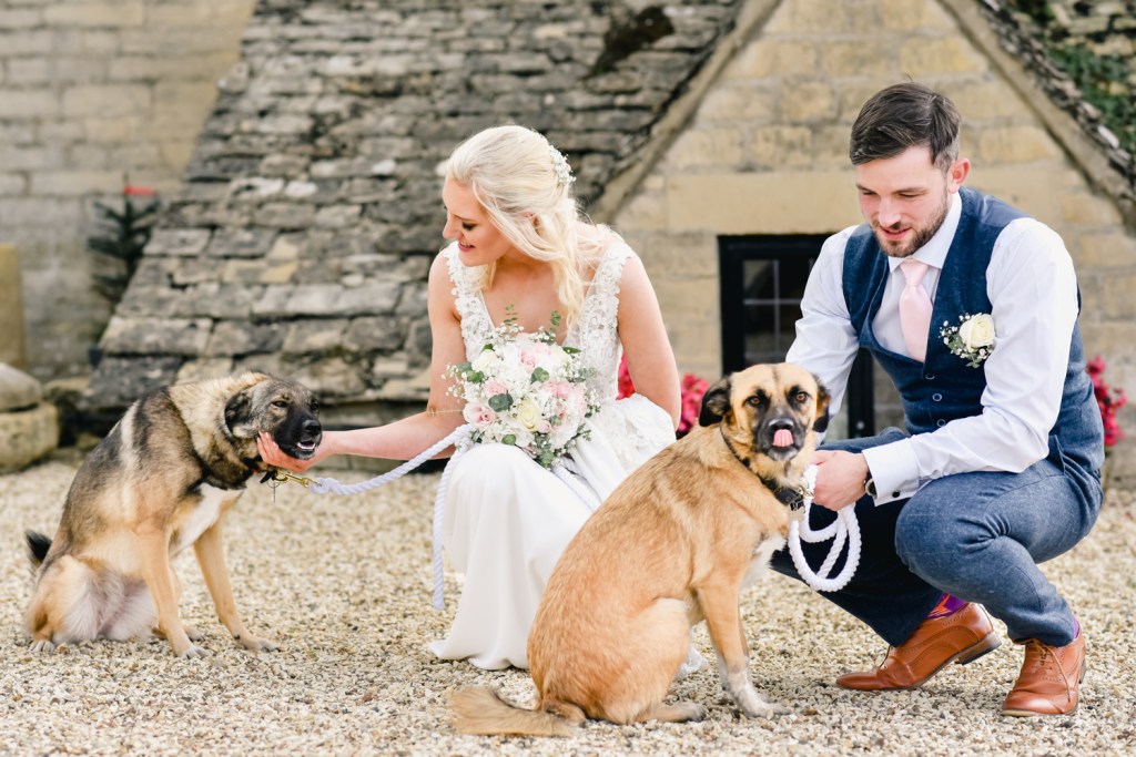 bride and groom with dogs wedding photography cotswolds