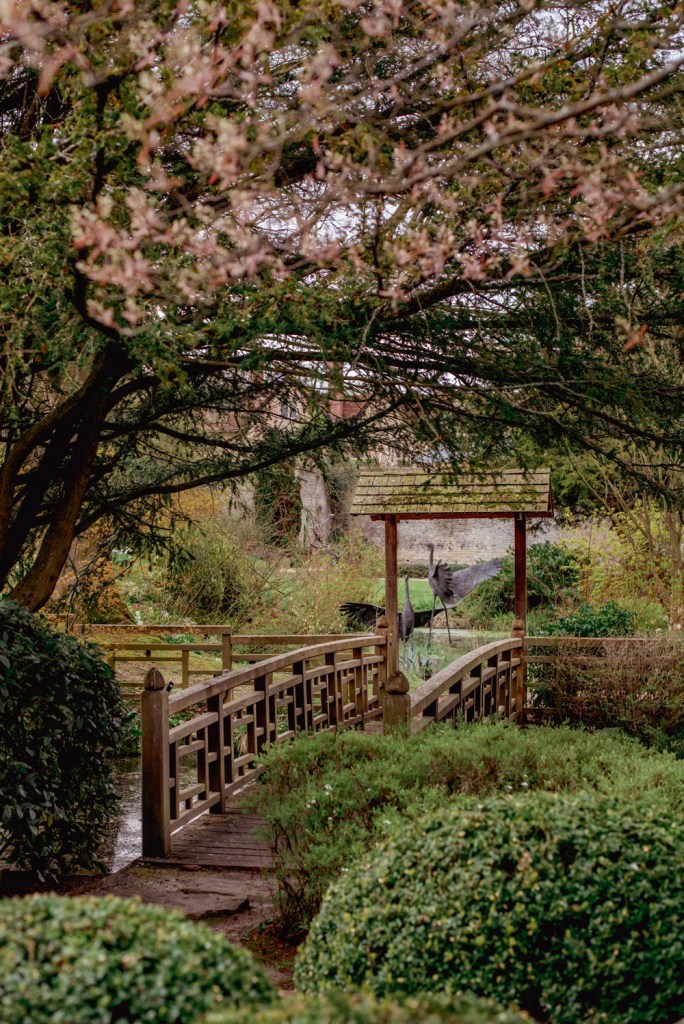 japanese spring garden cotswolds