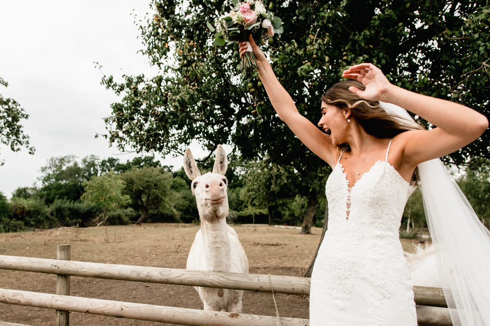 fun wedding photos bride farm wedding