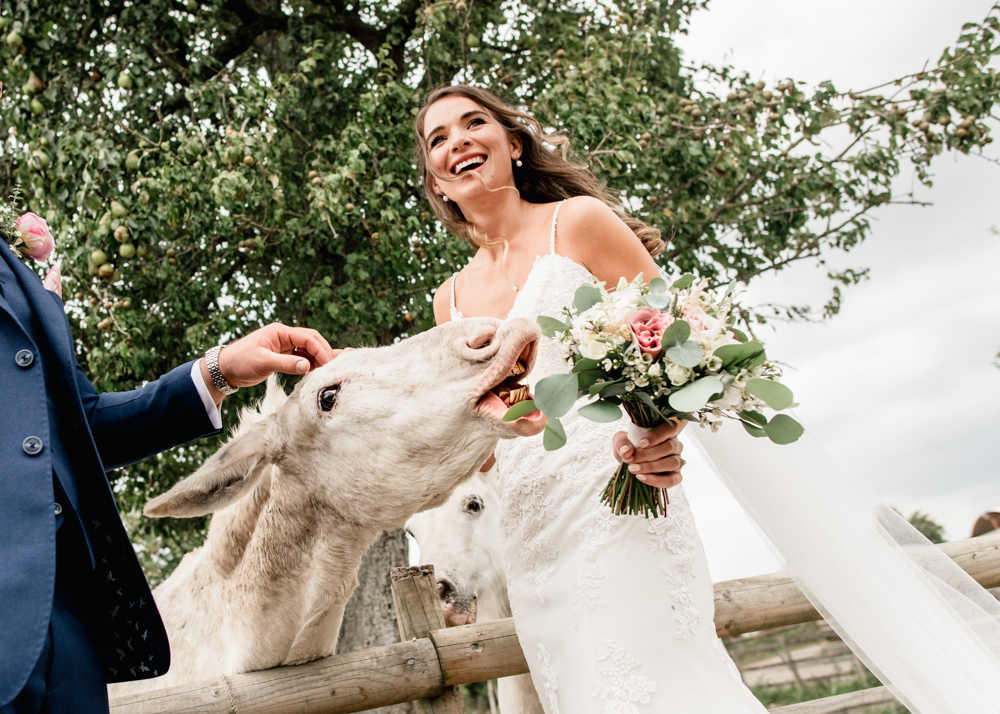 donkey bridal flowers cotswold wedding