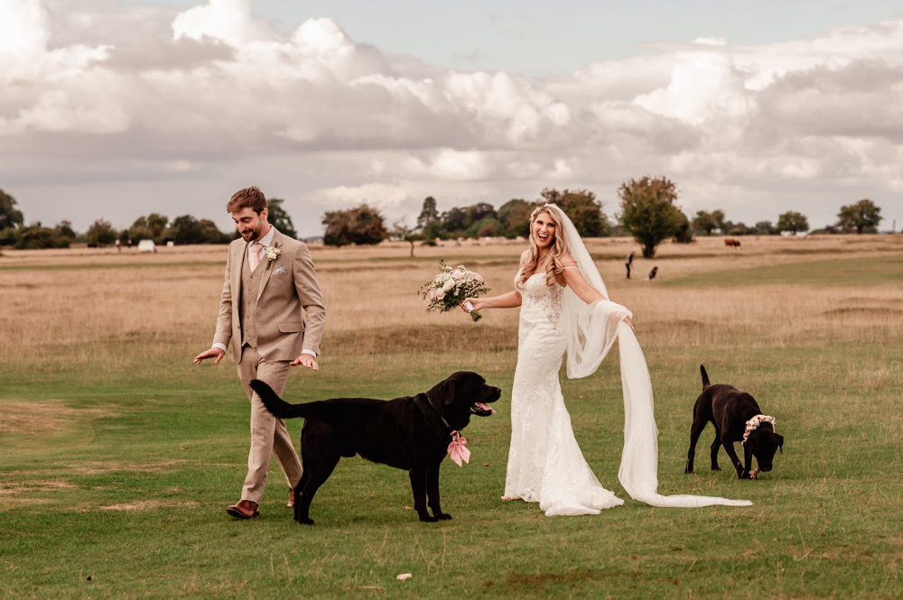bride and groom walking dogs