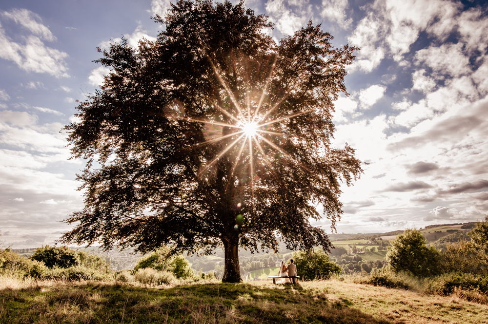 beautiful landscape with a tree Cotswold wedding