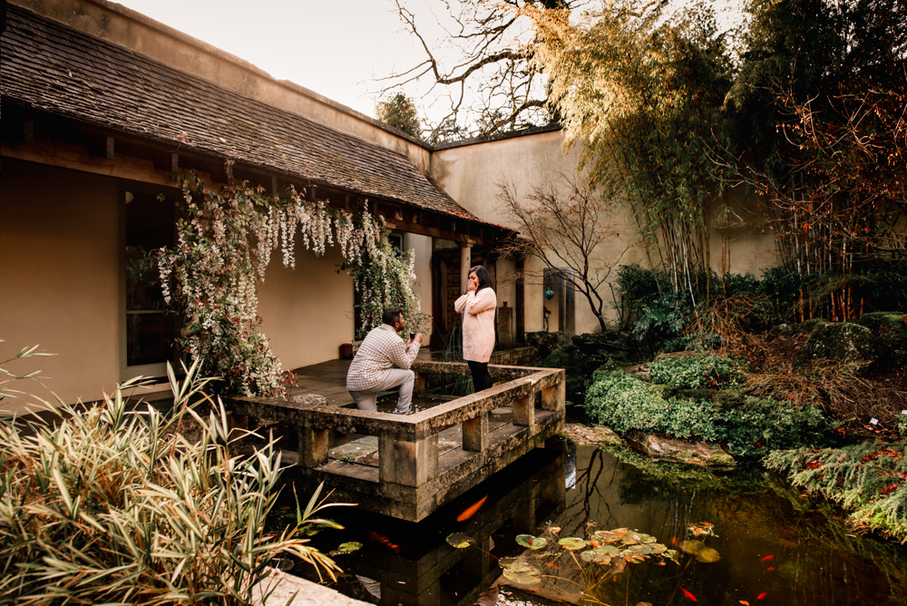 man proposing to woman in a picturesque location pond with coi carp