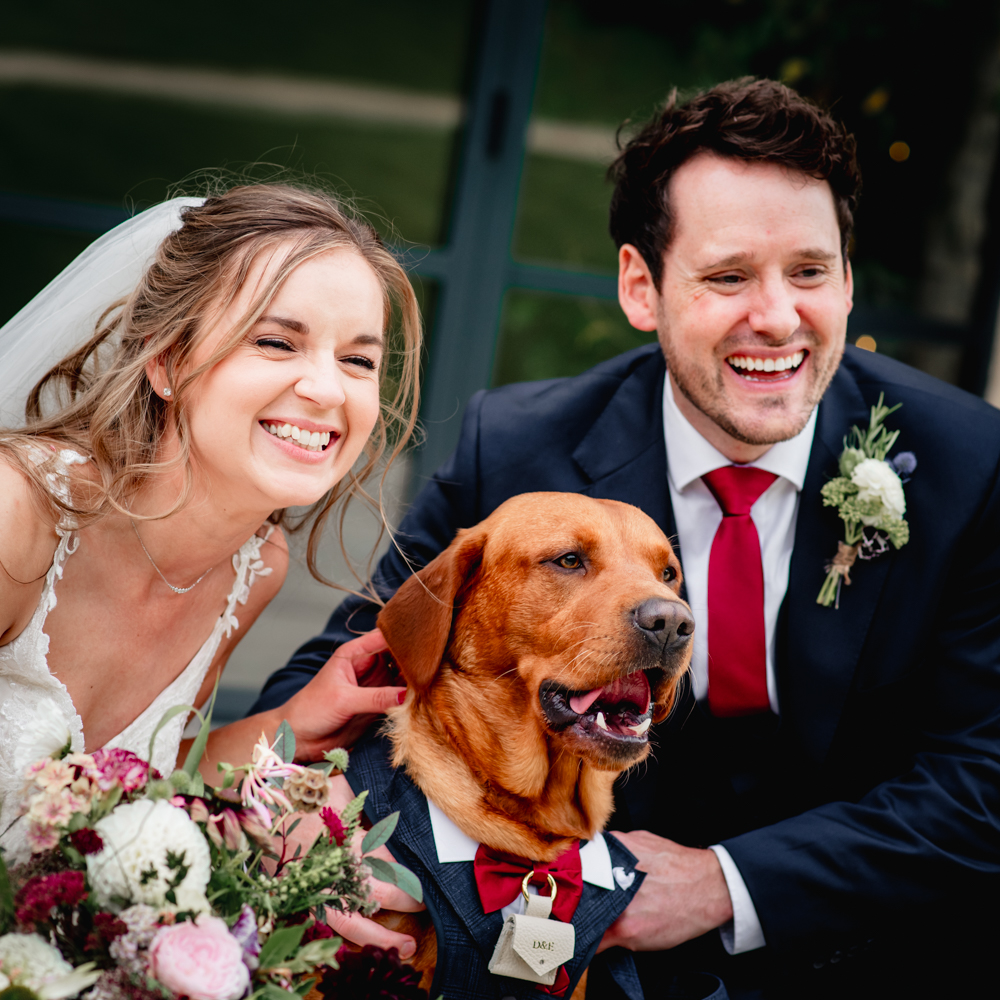 dog wedding portrait