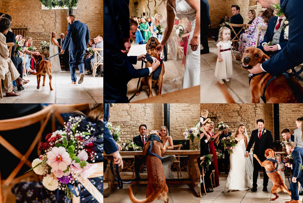 dog ring bearer at old gore barn 