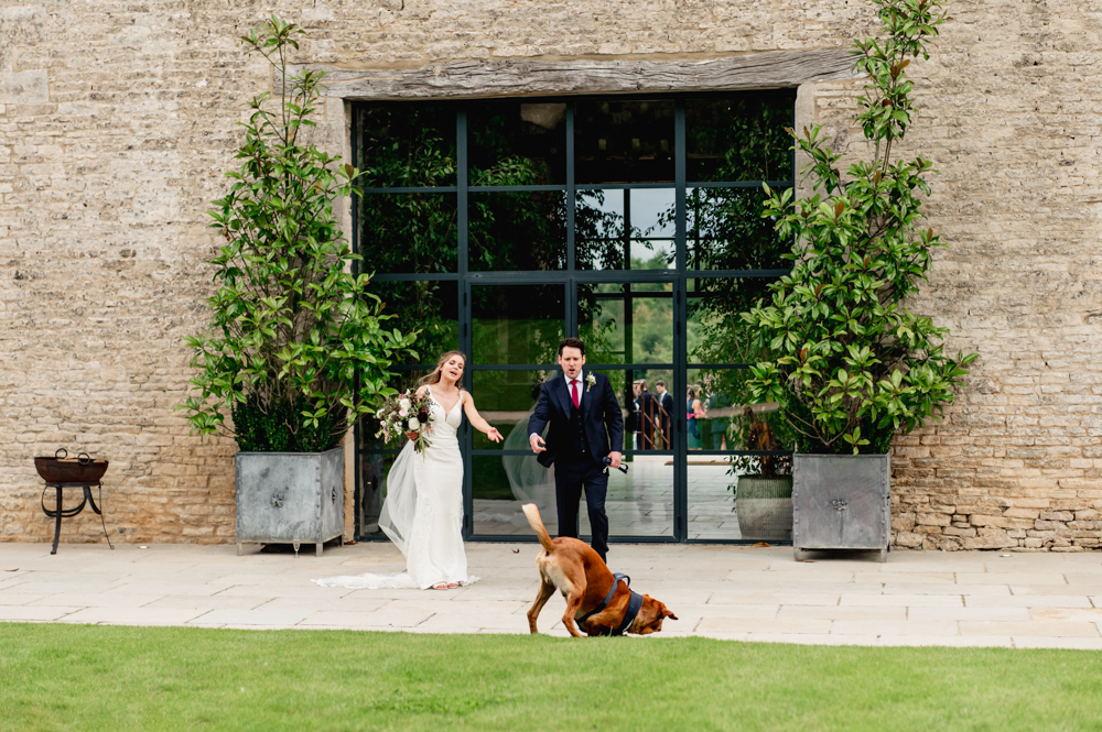 fun dog wedding cotswolds