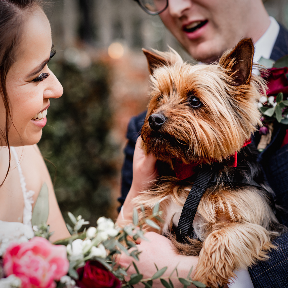 vibrant colourful wedding photography