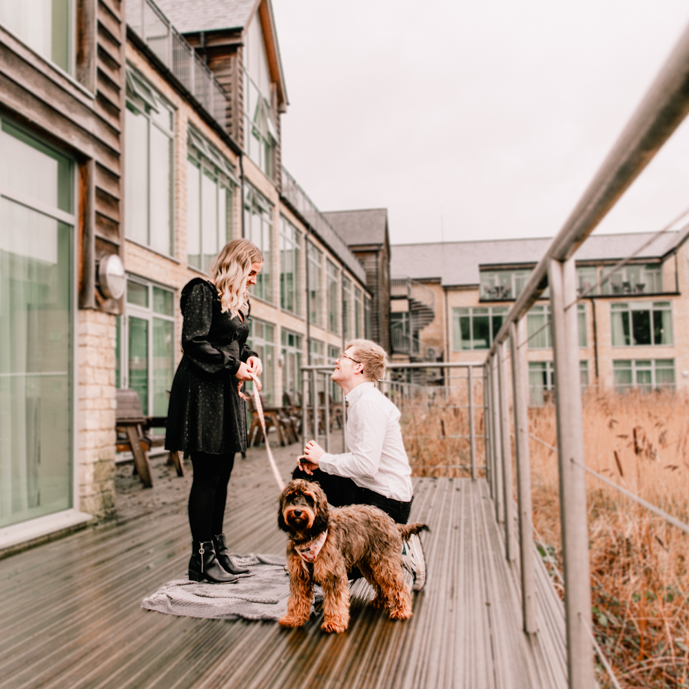 surprise proposal with dog cotswolds 