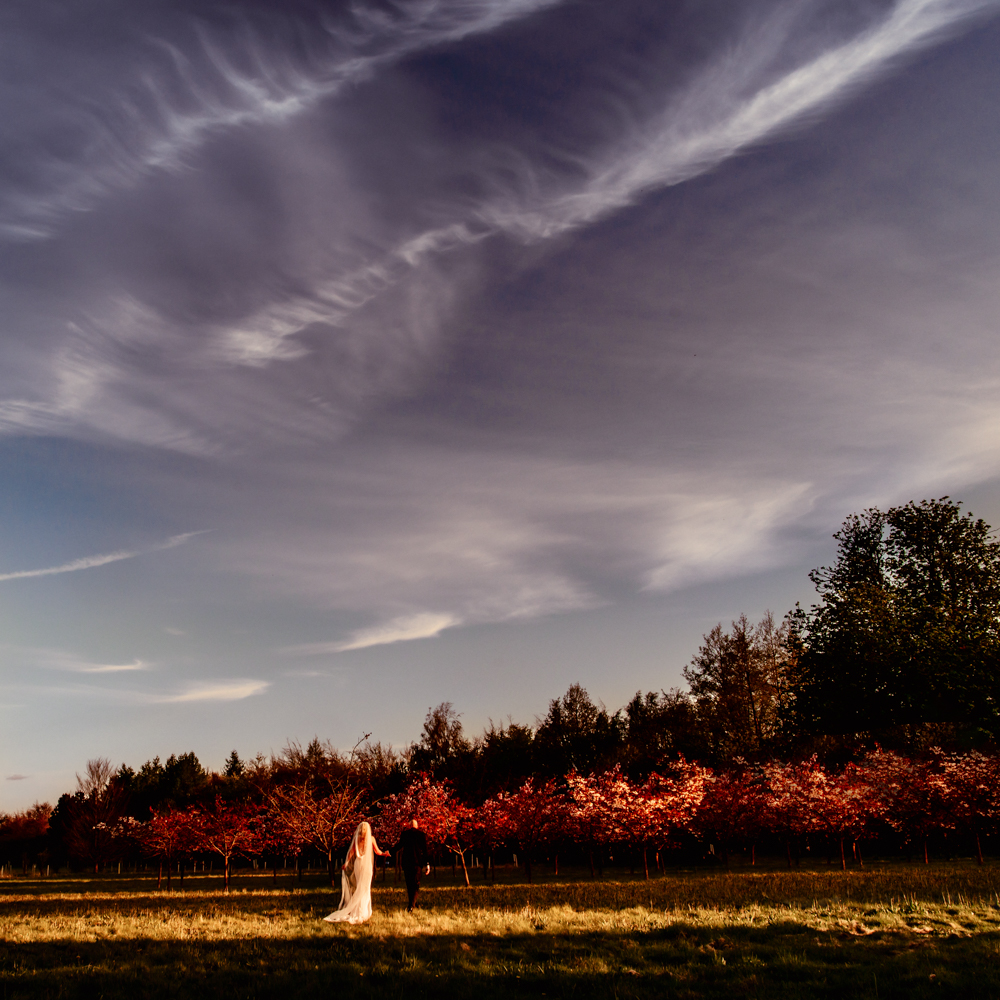 dramatic wedding photography stunning landscape