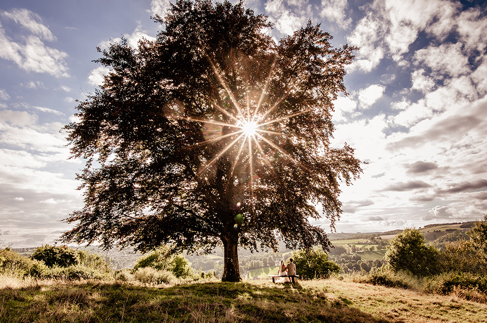 amazing landscape bride and groom