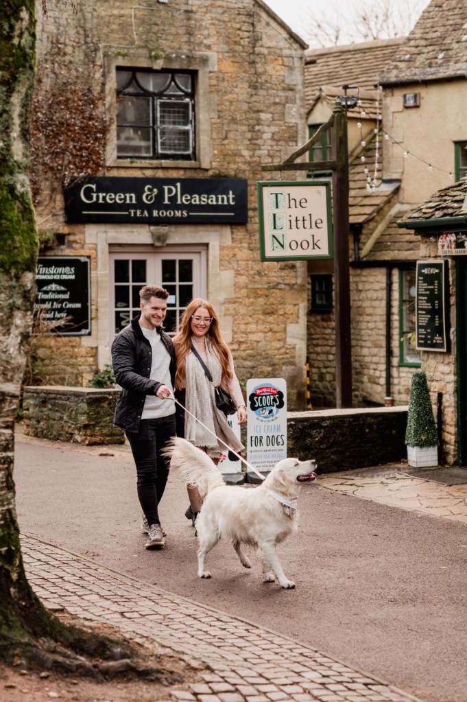 happy dog cotswolds