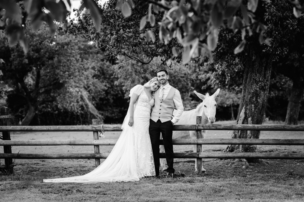 wedding couple white horse