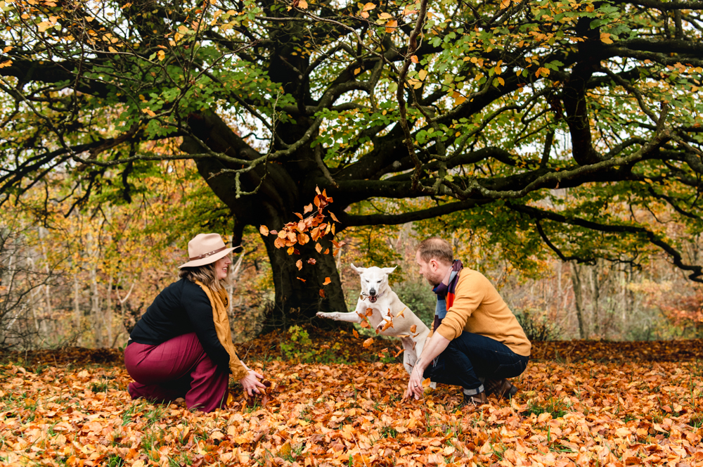 couple and dog playing 