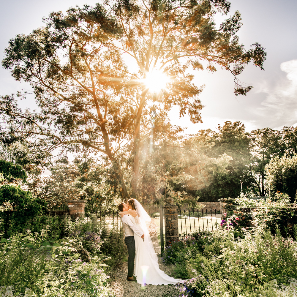 tree stunning sunset at elmore court wedding 