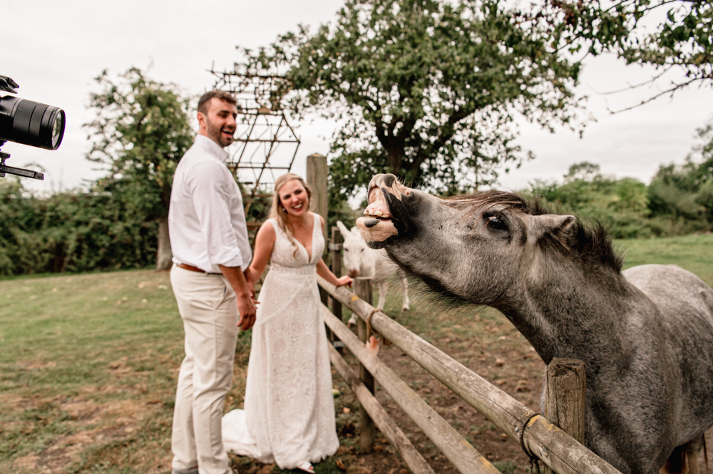 wedding on a farm with animals