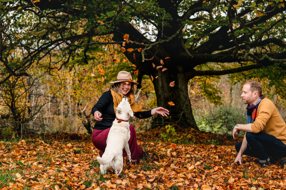 couple and dog autumn woods