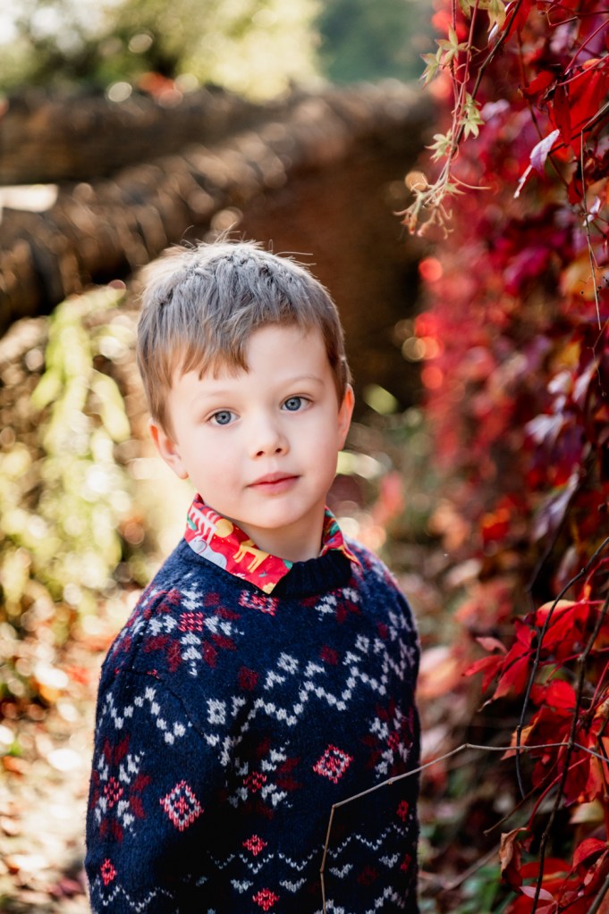 boy portrait autumn