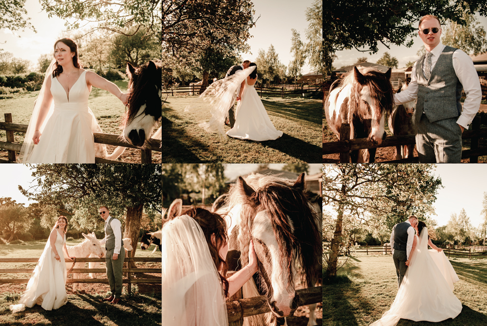 bride and groom stroking horses at sunset romantic film style photos on a farm