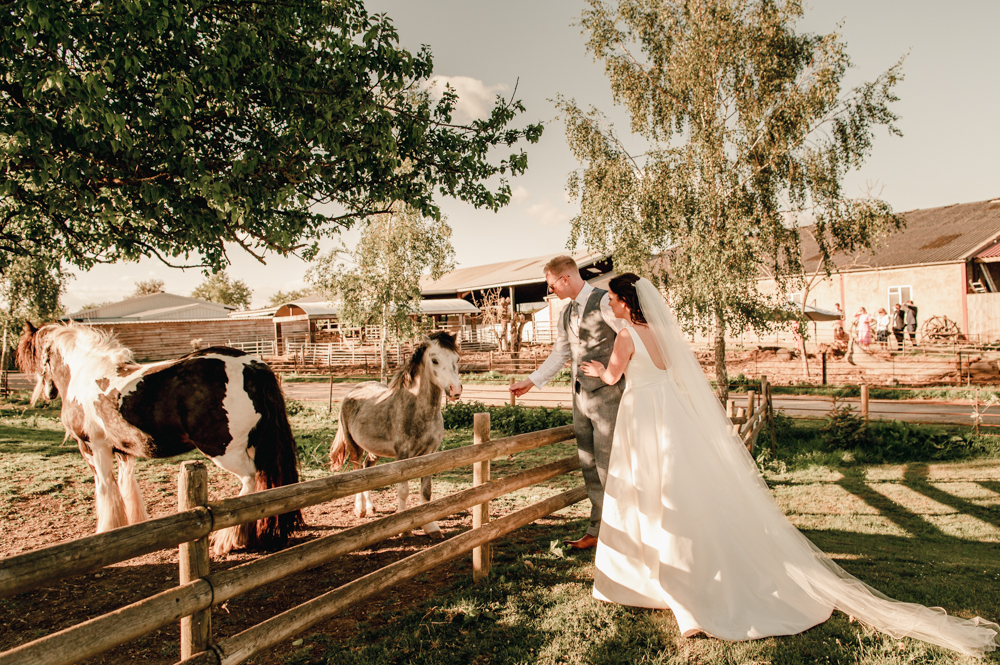 bride and groom with horses striking wedding phootgraphy