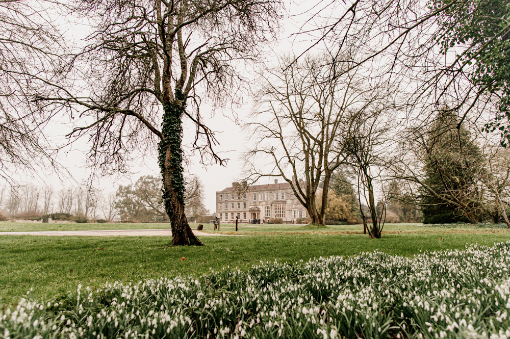 elmore court landscape with snowdrops winter wedding february