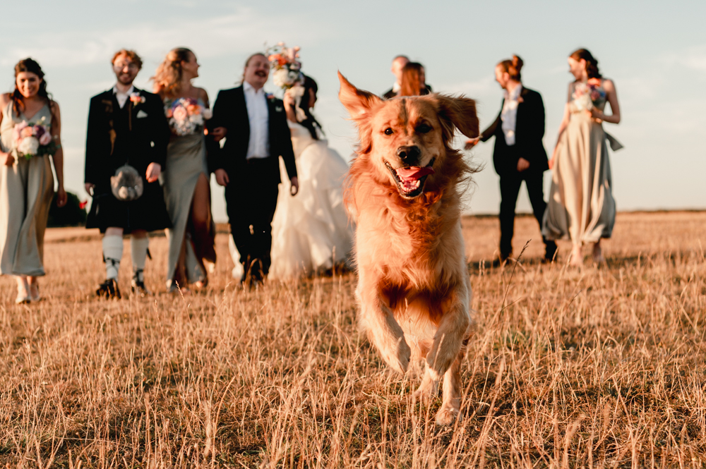 dog running wedding old lodge minchinhampton common