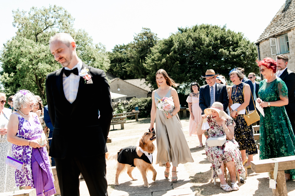 sroud wedding with a dog