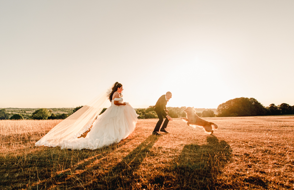 wedding with dogs old lodge minchinhampton common