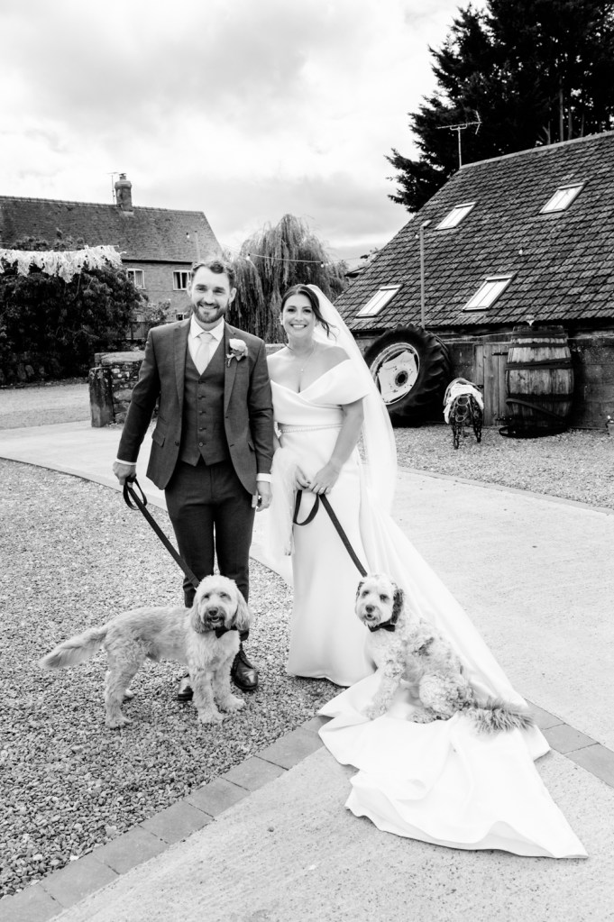 bride and groom with dogs wedding