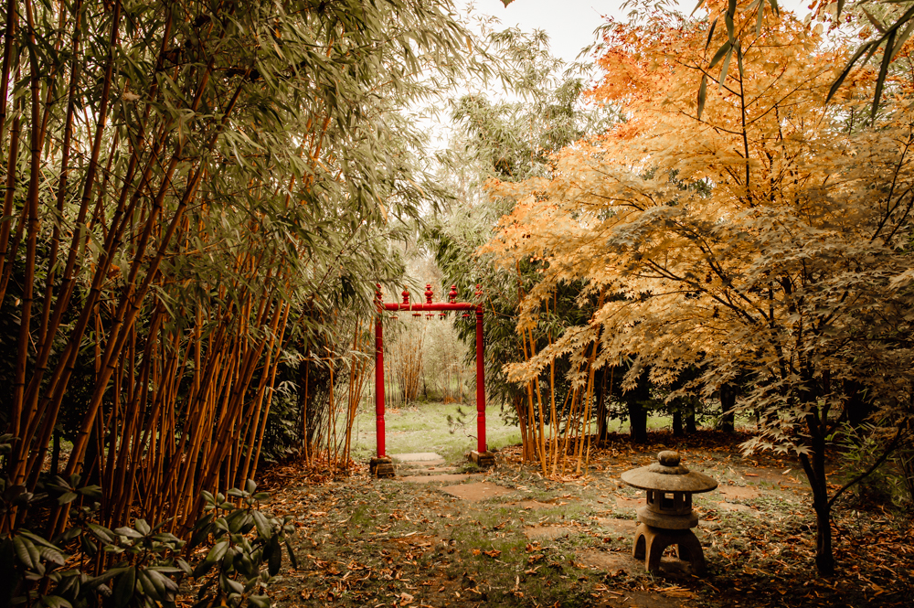 colourful bamboo wedding setting