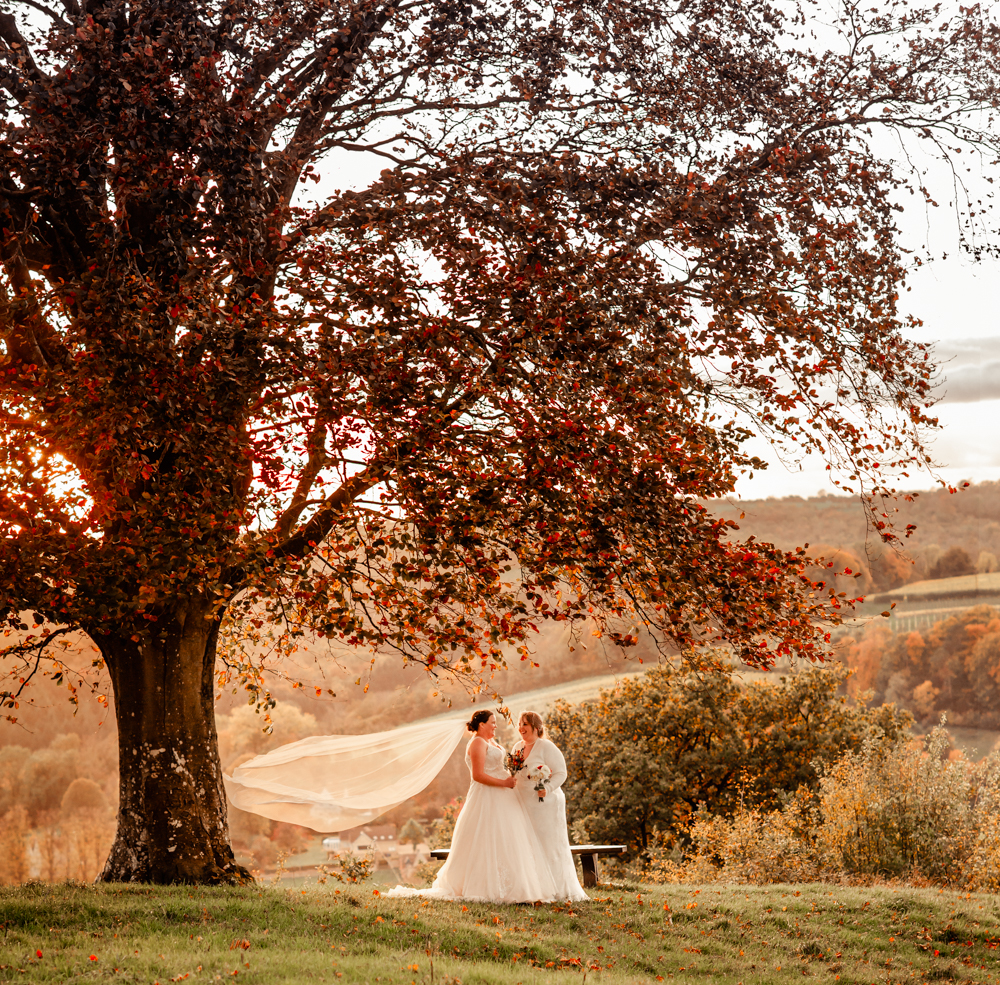 two brides veil flying in the countryside