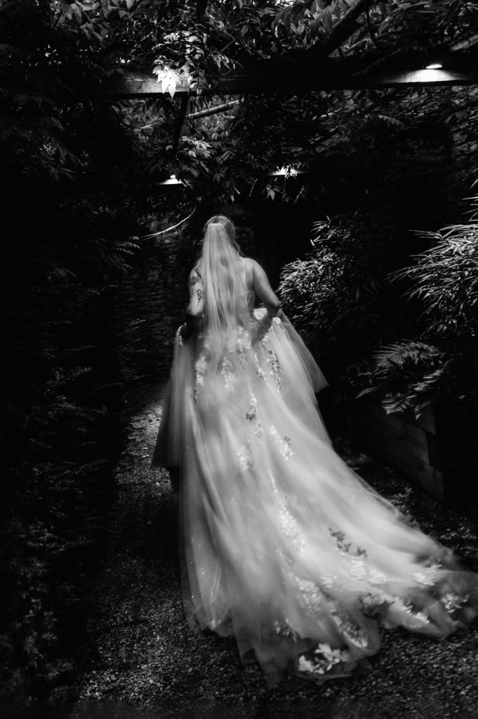 dreamy wedding dress 