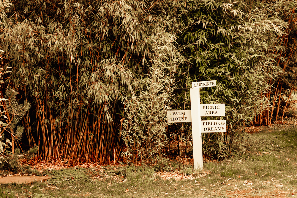 field of dreams sign