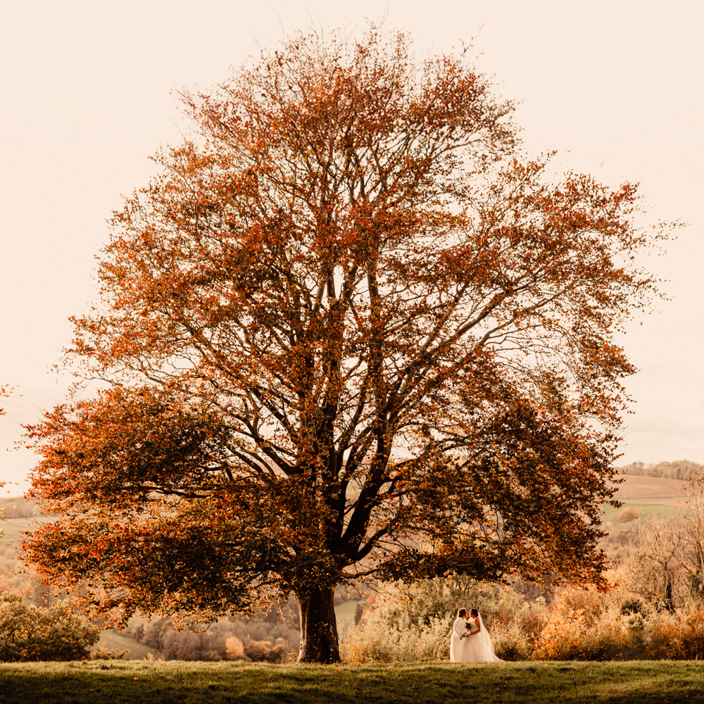 couple kissing under a tree countryside wedding