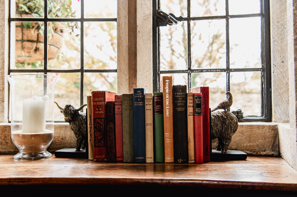 rodborough common  cows