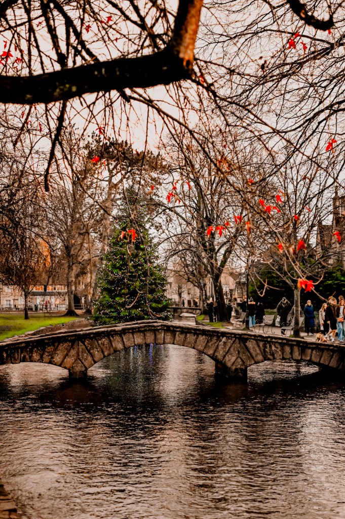 Christmas tree in the river water in Bourton on the water Cotswolds