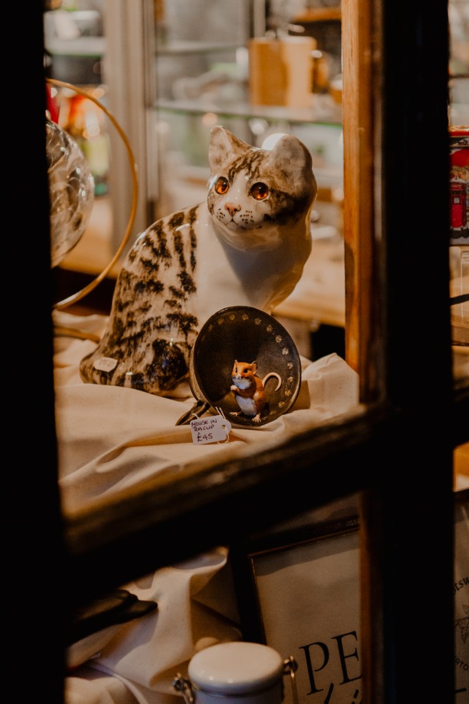 cat in the window england