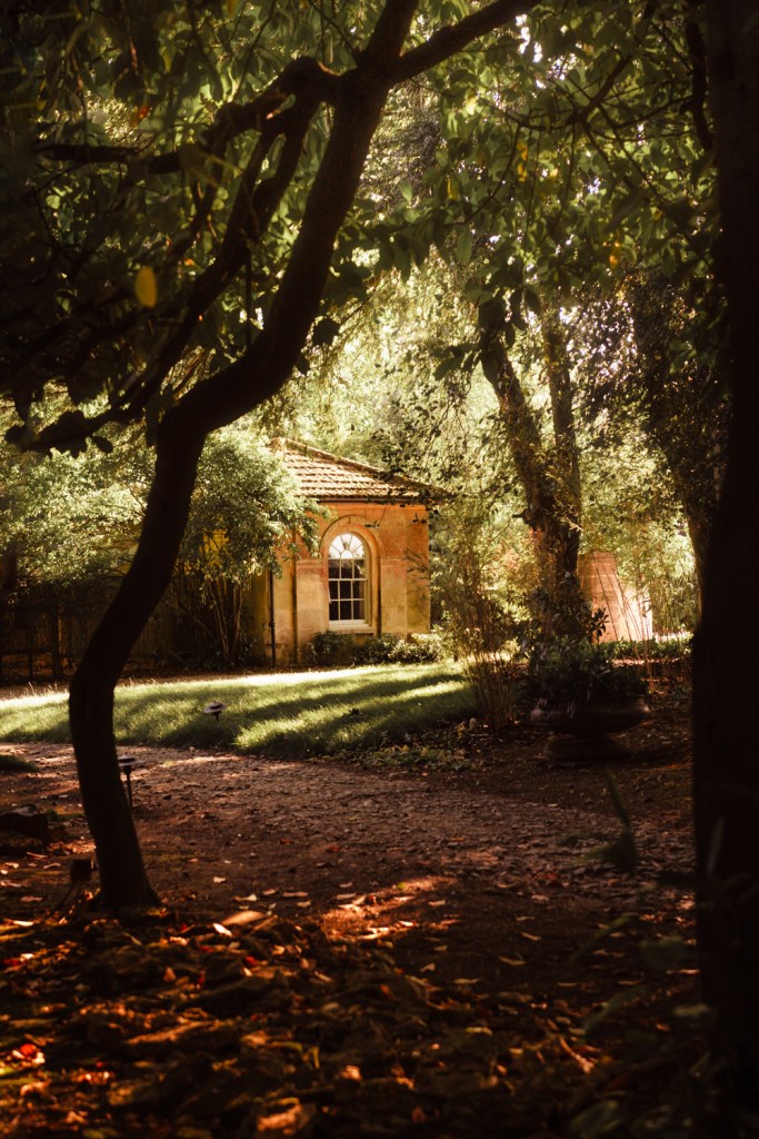 dreamy woodland wedding matara centre